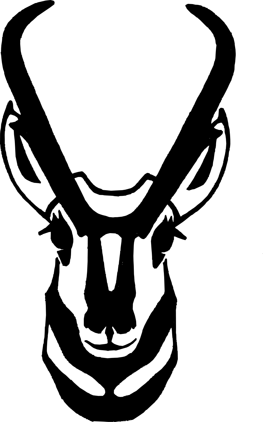 NewAntelope